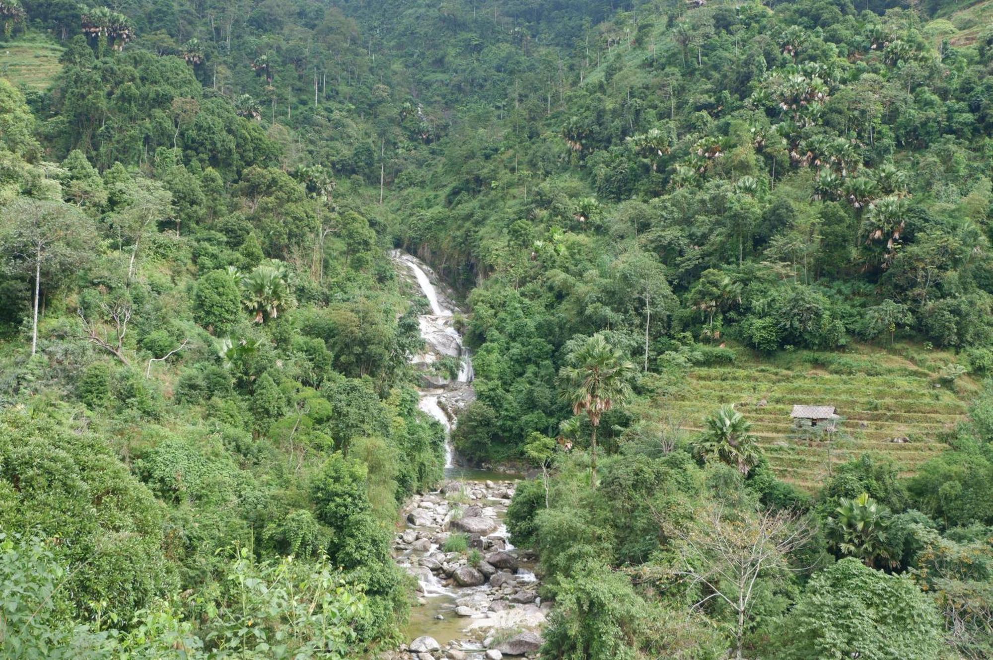 Bikki'S Jungle Homestay Ha Giang Extérieur photo