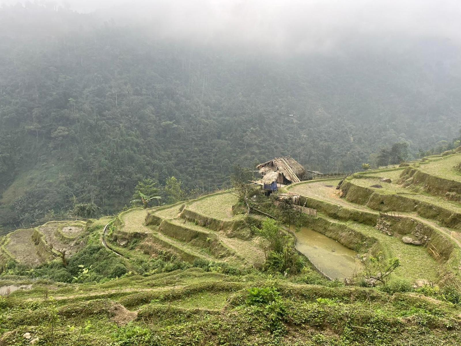 Bikki'S Jungle Homestay Ha Giang Extérieur photo