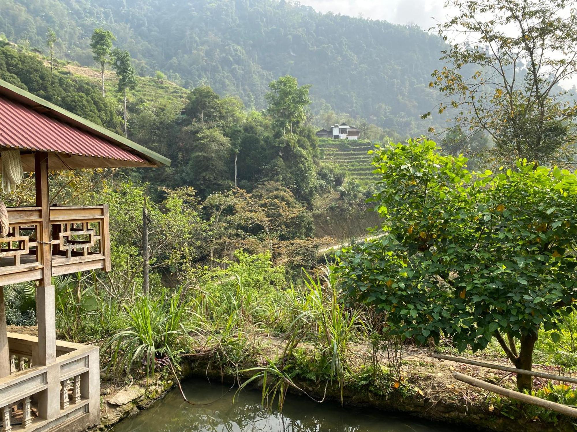 Bikki'S Jungle Homestay Ha Giang Extérieur photo