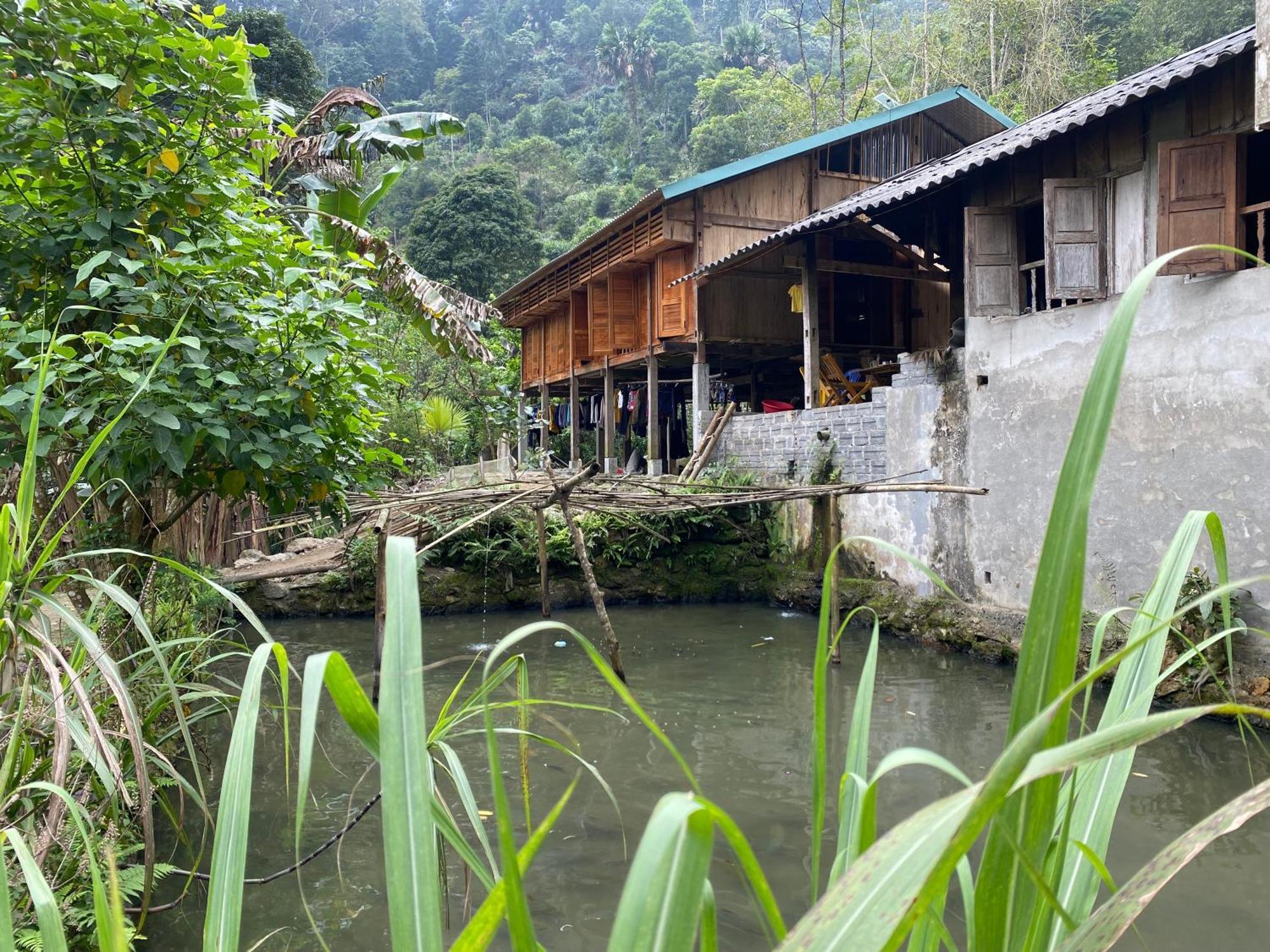 Bikki'S Jungle Homestay Ha Giang Extérieur photo
