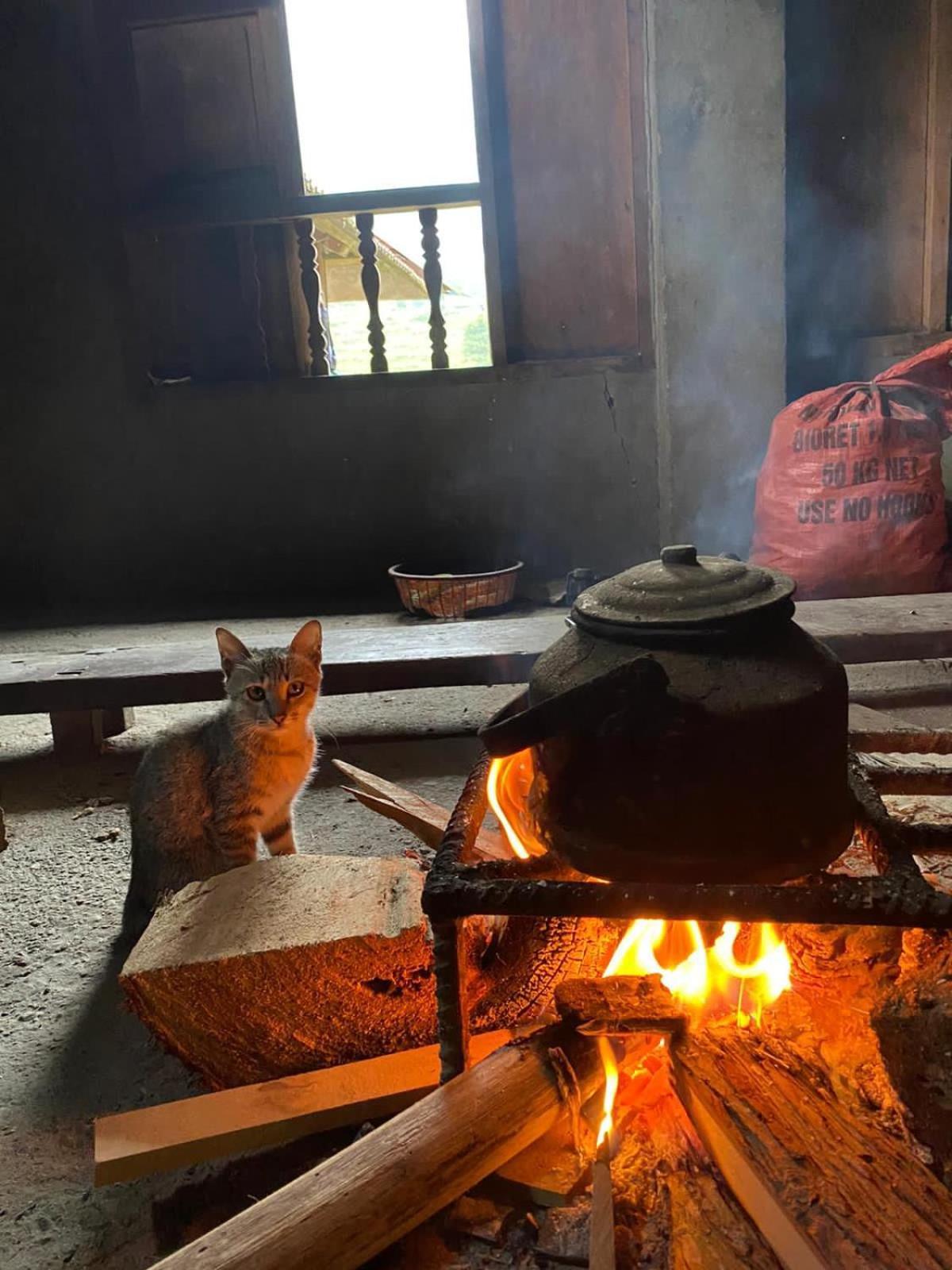 Bikki'S Jungle Homestay Ha Giang Extérieur photo