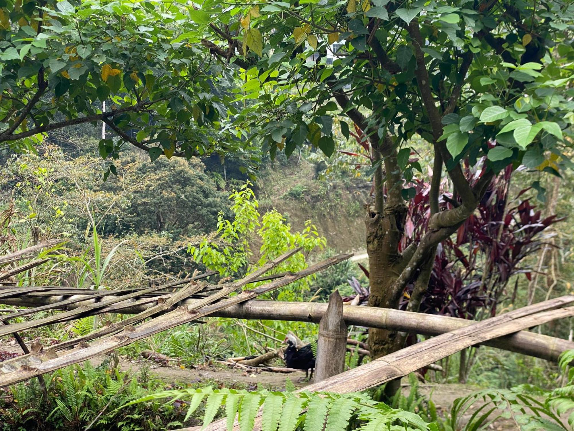 Bikki'S Jungle Homestay Ha Giang Extérieur photo